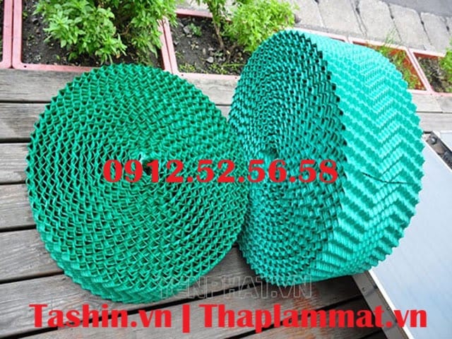 0207 Tan Tan Nhiet 001